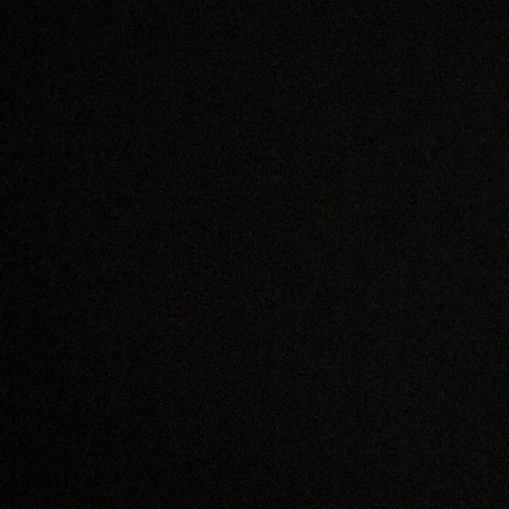 Meet your Posher, Lily